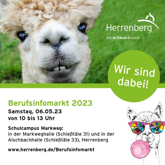 Plakat Berufsinfomarkte Herrenberg 2023