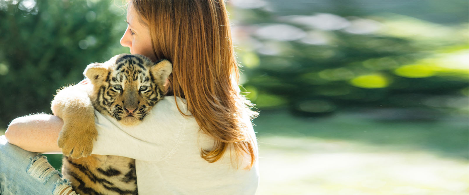 Mädchen streichelt auf ihrer Schulter ein echtes Leoparden Baby.